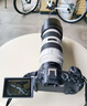 Canon佳能EF 70-200mm f2.8L f4 IS II 小白兔 大白 長(zhǎng)焦鏡頭二手 EF70-200 2.8L IS II USM二代 99新 曬單實(shí)拍圖