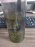 白沙溪茶葉安化黑茶天茯茶湖南特產(chǎn)金花茯茶磚茶1kg禮盒裝送禮袋 曬單實(shí)拍圖