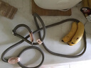 華元寵具（hoopet）狗狗牽引繩子防爆沖P繩鏈子胸背帶中小型大型犬柯基防掙脫溜遛狗 曬單實拍圖
