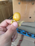 東北姑娘果新鮮當(dāng)季水果酸甜燈籠果甜菇娘果整箱特產(chǎn)源頭直發(fā)包郵 【帶箱0.5斤】 單果5g+ 曬單實拍圖