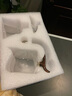 正揚(yáng)玻璃自動茶具懶人整套磁吸茶壺防燙高檔泡茶器功夫杯茶盤套裝家用 自動(迎客)+單主機(jī) 曬單實(shí)拍圖