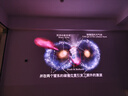Vidda C3S 海信4K超高清純?nèi)す馔队皟x家用投影機 無損光學變焦+哈曼JBL專業(yè)音響 智能家庭影院辦公 曬單實拍圖