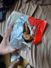 德州扒雞正宗山東特產(chǎn)熟食臘味鹵味燒雞開袋即食五香精選童子雞500g1斤 曬單實(shí)拍圖