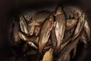 MDUG蝦皮串鉤翹嘴白條專用魚皮仿生套裝亮片路亞餌海釣野釣丸世鉤夜光 6#鉤 蝦皮串鉤 6鉤版+10g鉛一枚 曬單實(shí)拍圖