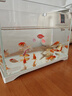 智伴熊 ZIBARBEAR蝶尾金魚(yú)鎏金小金魚(yú)活觀賞魚(yú)小型冷水魚(yú)淡水魚(yú)好養(yǎng)耐活紅獅魚(yú)泰獅 4-5cm隨機(jī)小金魚(yú)6條 曬單實(shí)拍圖