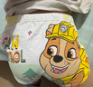 汪汪隊(duì)立大功（PAW PATROL）兒童內(nèi)褲四角男童內(nèi)褲中大童平角打底短褲7A抑菌PA1941 120 曬單實(shí)拍圖