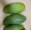 壹萌果蔬金煌芒芒果 當(dāng)季現(xiàn)摘廣西大芒果新鮮水果青皮芒果整箱送禮 9斤精品【單果150g+】 凈8斤 曬單實(shí)拍圖