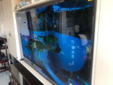 Vidda X Mini 2026款 海信電視 75英寸 超高刷QD-Mini LED 以舊換新家電國家補貼液晶AI電視75VX3Q 曬單實拍圖