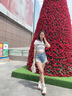 MOCCSOCC包包女包輕奢女士單肩包女斜挎包女情人節生日禮物送女友老婆 米白色-【包包女款2025年】 精美禮盒包裝 曬單實(shí)拍圖