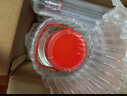 紅荔牌米香型白酒 50度浸泡酒5L 紅荔紅米酒廣東米酒青梅藥材養生酒泡酒 曬單實(shí)拍圖