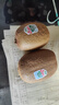 佳沛 新西蘭綠果進(jìn)口奇異果綠心獼猴桃禮盒 當季新鮮水果中秋水果禮盒 22枚原箱裝【單果約103-120g】 曬單實(shí)拍圖