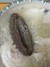 久年大連即食海參500g8-12只 遼刺參京東自營 固形物超85% 海鮮盒裝 曬單實(shí)拍圖