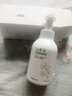 范泳辰山茶花洗面奶氨基酸慕斯溫和清潔毛孔學生保濕控油男女通用潔面乳 山茶花潔面乳一瓶600ml 曬單實拍圖