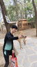 艾倫伯頓泳衣套裝男防曬長(zhǎng)袖長(zhǎng)褲水母潛水服游泳裝備全套沖浪浮潛速干泳褲 黑綠三件套【防曬 高彈 速干】 L 【130-145斤】 曬單實(shí)拍圖