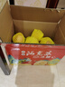 京樂狳新疆阿克蘇冰糖心紅富士蘋果水果新鮮脆甜整箱批發(fā) 10斤帶箱-【小果】凈重8.5斤 曬單實(shí)拍圖