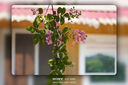 索尼/Sony A6000 A6300 A6400 A6100 A6600 二手微單相機新手4k視頻 95新  A6000單機 顏色隨機 曬單實(shí)拍圖