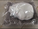樂(lè)蕾迪仿真動(dòng)物公仔活性炭仿竹炭包除甲醛除異味裝飾 仿真白貓款 曬單實(shí)拍圖