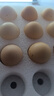 散養(yǎng)農(nóng)家土雞蛋草雞蛋40-50g 溏心蛋早餐新鮮雞蛋京東包郵買菜 40枚土雞蛋 曬單實拍圖