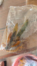 智宙生態(tài)瓶diy材料生態(tài)魚缸手提塑料桶生態(tài)瓶微景觀魚科學生態(tài)瓶觀賞 科學生態(tài)瓶【不含魚】 【送綠菊水草】 曬單實拍圖