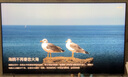 海信電視E8Q 85英寸 信芯H6 U+MiniLED  黑曜屏 首發(fā)330Hz高刷 帝瓦雷音響 E8NPRO升級(jí) 國(guó)家補(bǔ)貼85E8Q 曬單實(shí)拍圖