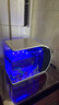 寵盒魚缸客廳超白智能魚缸小型家用造景小型側(cè)濾熱帶魚斗魚生態(tài)金魚缸 弧形生態(tài)魚缸白色+造景大禮包+豪華版濾材 曬單實(shí)拍圖