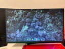探顯家探顯家宏夏24.5英寸240Hz280hz電競顯示器300hz FastTN游戲顯示屏BFI+黑科技電腦顯示器AK268Pro 新一代TN面板AK240-Pro黑色標(biāo)準(zhǔn)310hz 曬單實(shí)拍圖