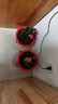 御春閣帶盆帶土重瓣麗格海棠玫瑰海棠花盆栽帶花發(fā)貨客廳陽(yáng)臺花卉四季開(kāi) 曬單實(shí)拍圖