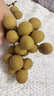 babycare精油手環(huán)手鏈西高地項鏈兒童戶外防護串珠手環(huán)情侶閨蜜手環(huán)可愛 曬單實拍圖