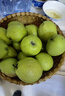 河北酥潤(rùn)香梨 鮮香皮薄 時(shí)令水果 產(chǎn)地直發(fā) 整箱包郵 凈重8斤 單果120g+ 曬單實(shí)拍圖