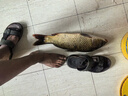 一味冰藍粉魚(yú)漂浮漂電子漂鯽魚(yú)漂高靈敏醒目加粗釣夜光漂 變色款-7號 曬單實(shí)拍圖