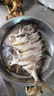 頂吉漁淡曬金鯧魚干湛江特產年貨金昌魚干海味干貨腌制廣東咸魚金倉魚 150-200g/條（5條裝） 曬單實拍圖