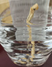 六珍液 高粱濃香酒 52度 5L*1桶 濃香型白酒純糧食酒高粱酒泡酒 曬單實拍圖
