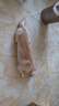 嬉皮狗貓咪指甲剪小型大型犬狗狗指甲刀寵物貓咪兔子剪指甲神器 曬單實(shí)拍圖