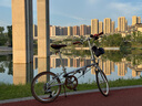 大行（DAHON）D10折疊自行車(chē)20英寸10速成人復古風(fēng)單車(chē)HAC003 電鍍銀  曬單實(shí)拍圖