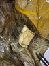 趙西施粽子海南萬寧和樂蛋黃黑豬肉粽250g禮盒端午節(jié)日糯米咸粽子 蛋黃肉粽250g*6個(gè)【陸運(yùn)】 曬單實(shí)拍圖