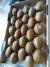 佳沛（zespri）綠奇異果特大果22-25個原箱裝單果約133-176g 水果禮盒獼猴桃 曬單實拍圖