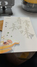 東菱（Donlim）蒸汽鍋家用電蒸鍋多功能鍋蒸燉煮一體鍋電火鍋汽鍋雞專用鍋煮鍋+陶瓷汽鍋）DL-9009 曬單實(shí)拍圖
