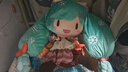 bilibili【秒殺】VOCALOID 初音未來(lái) 雪未來(lái)2024 Fuwa Petit毛絨玩偶fufu 初音未來(lái)帶特典 曬單實(shí)拍圖