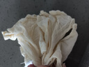 辰悅衣【10個(gè)裝】純棉紗布袋調(diào)料包香料鹵料袋中藥煎藥袋煲湯過濾袋子 純棉6*8cm【10個(gè)裝】 曬單實(shí)拍圖