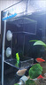 爬將軍魚(yú)缸喂食器魚(yú)食投喂器養(yǎng)育神器小魚(yú)防飄散喂食器魚(yú)缸自動(dòng)喂食器 升級(jí)版喂食器 曬單實(shí)拍圖
