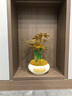 梟庭閣黃金發(fā)財樹(shù)琉璃桌面擺件辦公室客廳玄關(guān)桌面裝飾品開(kāi)業(yè)送禮禮品 HS琉璃小號發(fā)財黃金樹(shù) 曬單實(shí)拍圖