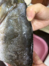鮮喜愛 冷凍千島湖有機鰱魚頭1.5斤 白鰱魚頭  生鮮魚類 海鮮水產(chǎn) 曬單實拍圖