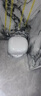 石頭（roborock）掃地機器人掃拖一體 P20 Ultra 自動上下水版 自動集塵熱水洗拖布擦地拖地洗地機吸塵器 A1840RR 曬單實拍圖