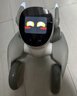 LOONA露娜機器狗 語音指令具身智能AI機器人 編程學(xué)習(xí)機器人 CES創(chuàng)新獎?wù)Z言切換互動早教玩具兒童禮物 Loona機器狗+豪禮相送 曬單實拍圖