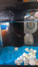 闊庭（KUOTING）魚缸水族箱生態(tài)桌面魚缸新款懶人魚缸生態(tài)造景過(guò)濾制氧一體機(jī)黑色 曬單實(shí)拍圖