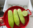 齊魯尋鮮[綠色認(rèn)證]減脂黃瓜中農(nóng)脆玉3號(hào)水果黃瓜新鮮現(xiàn)摘生吃 減脂黃瓜 3斤 【順豐包郵】 曬單實(shí)拍圖