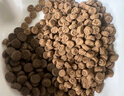 愛肯拿（ACANA）貓糧 牧場盛宴成貓幼貓糧 高蛋白無谷進口雞肉糧1.8kg效期26/6 曬單實拍圖