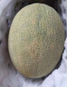 京鮮生 新疆哈密瓜/西州蜜 4粒 凈重10斤起 單果2.5斤起 生鮮水果禮盒 曬單實(shí)拍圖