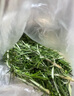 迷迭香新鮮 西餐烤肉香料 迷迭香葉 順豐速運(yùn) 250g 曬單實(shí)拍圖