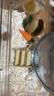 carno卡諾麻花紙粒倉(cāng)鼠墊料金絲熊木屑造景用品除臭無(wú)塵用品 牛奶400g 曬單實(shí)拍圖